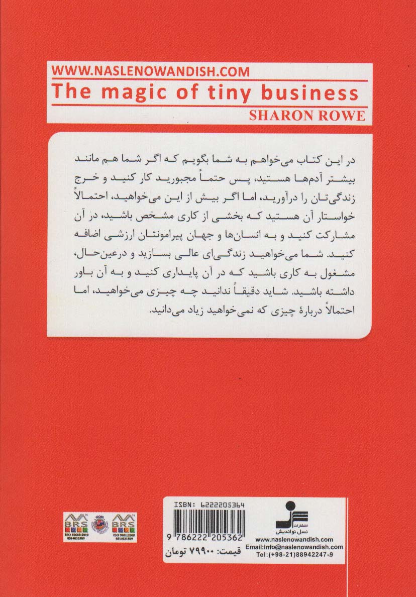 جادوی کسب و کار کوچک (برای خوب پول درآوردن نباید کار خیلی بزرگ بکنی)