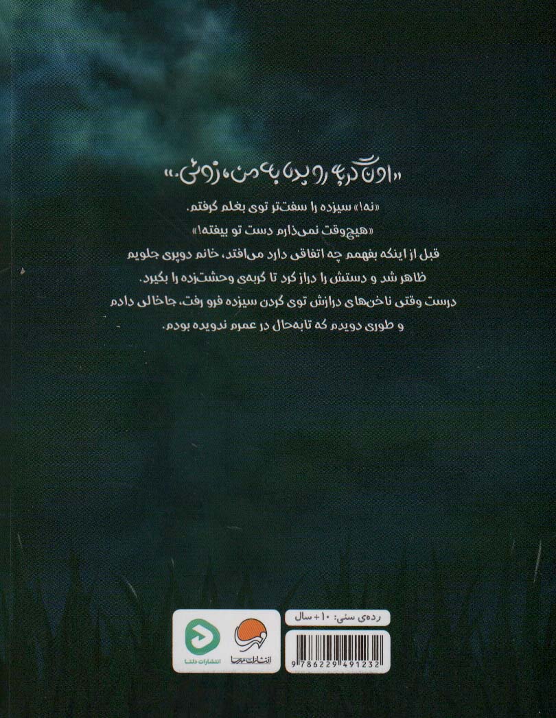 گربه ی سیزدهم 