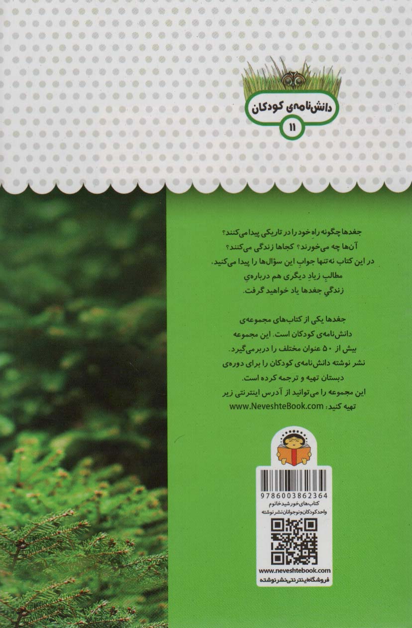 یک فنجان دانستنی درباره ی جغد ها (دانش نامه ی کودکان11)،(گلاسه)