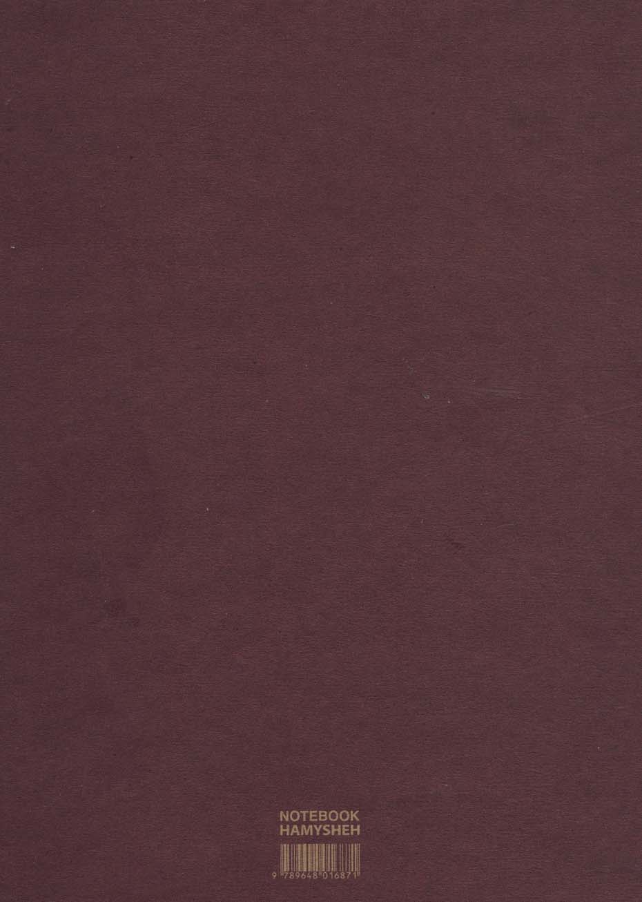 دفتر ترکیبی:خط دار،بی خط،شطرنجی (MULTIPAPER NOTEBOOK،کد871)