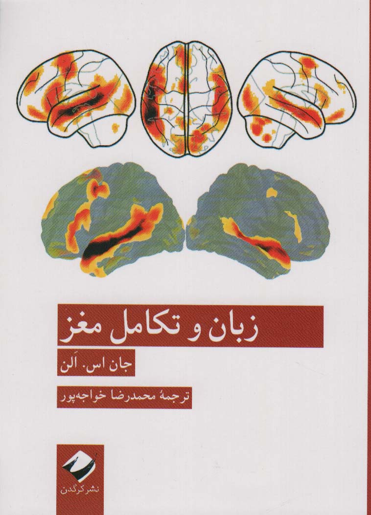 زبان و تکامل مغز