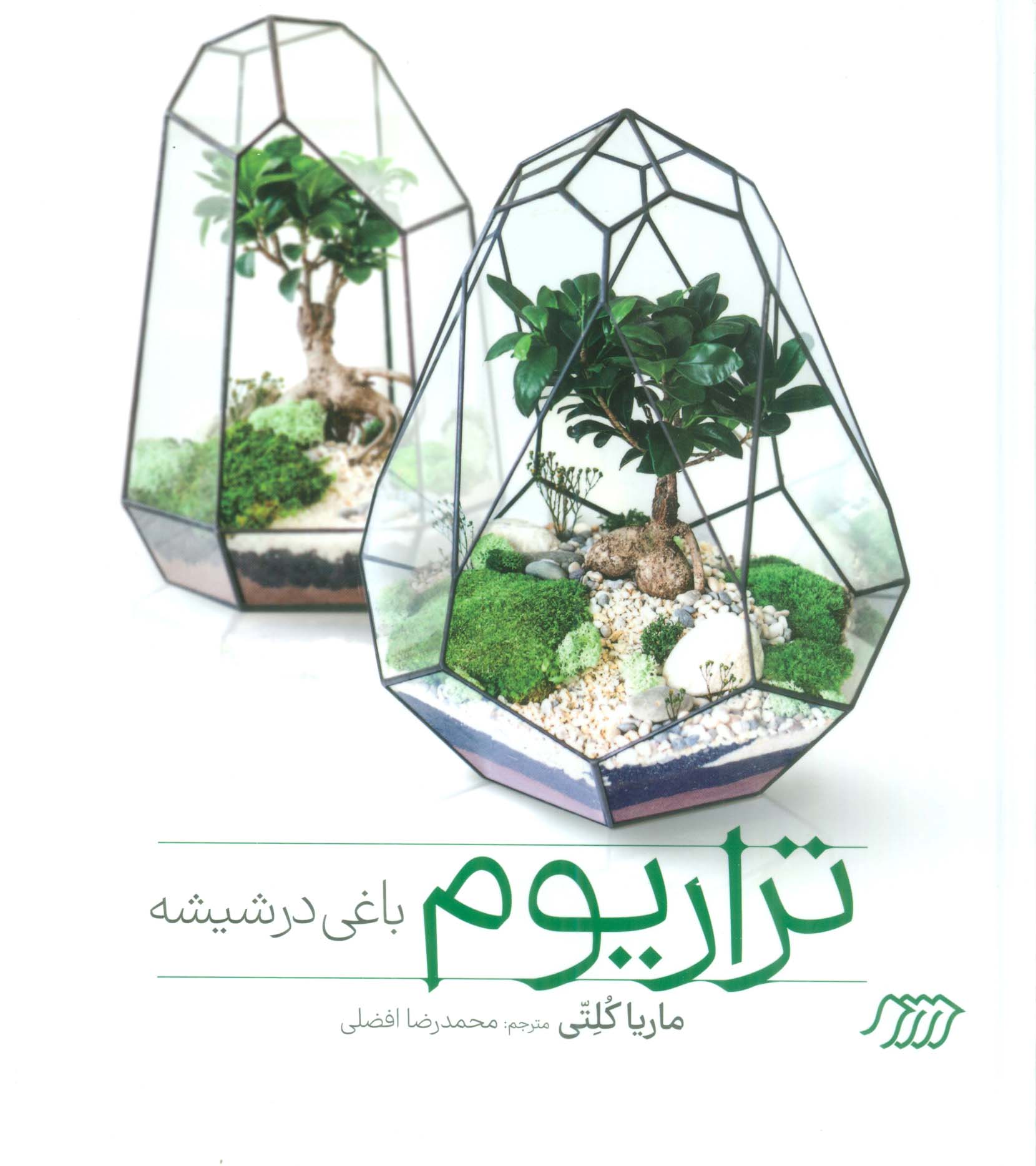 تراریوم باغی در شیشه (گلاسه)