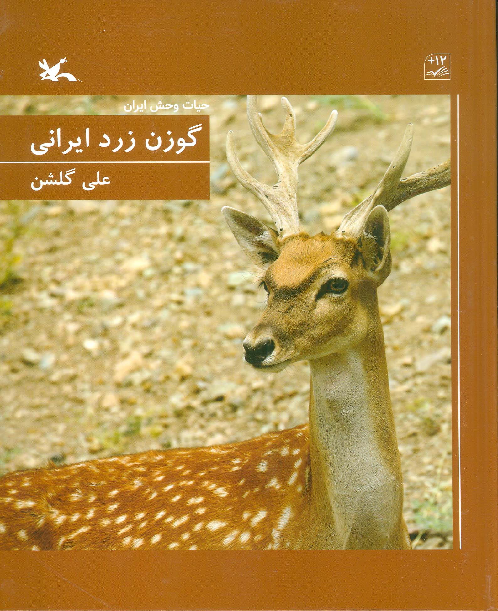 گوزن زرد ایرانی (گلاسه)