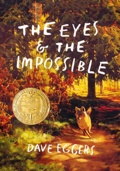 THE EYES AND THE IMPOSSIBLE:چشم ها و غیرممکن ها (زبان اصلی،انگلیسی)