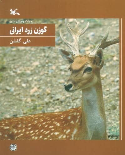 گوزن زرد ایرانی (حیات وحش ایران)