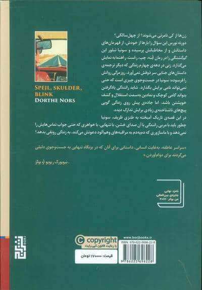 آینه چپ،راست راهنما 