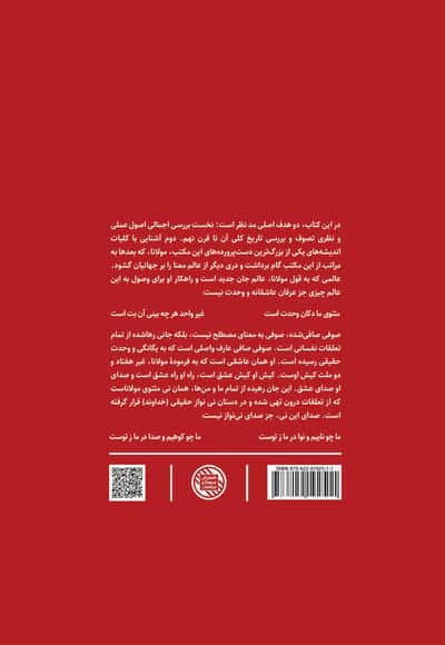 صوفی صافی (درآمدی بر شناخت اندیشه های مولانا)