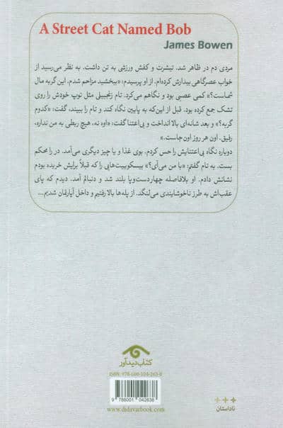 باب،گربه ی خیابانی 