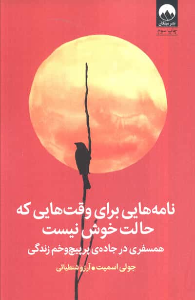 نامه هایی برای وقت هایی که حالت خوش نیست (همسفری در جاده ی پرپیچ و خم زندگی)
