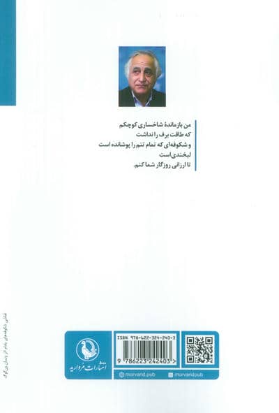 درون شدم از دری که نیست 