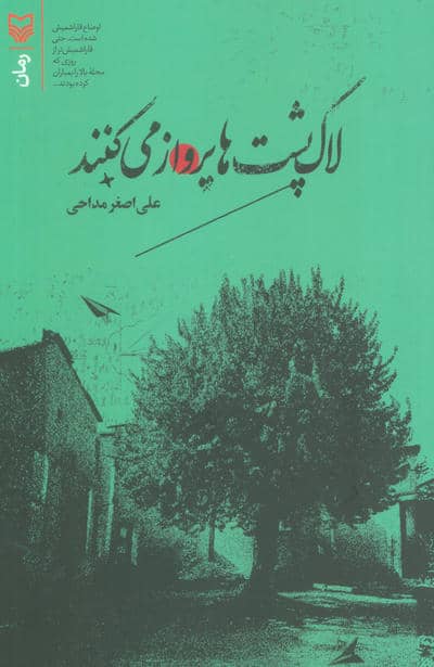 لاک پشت ها پرواز می کنند