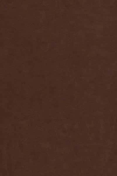 رباعیات خیام با مینیاتور (5زبانه،گلاسه،ترمو،لیزری،باقاب)