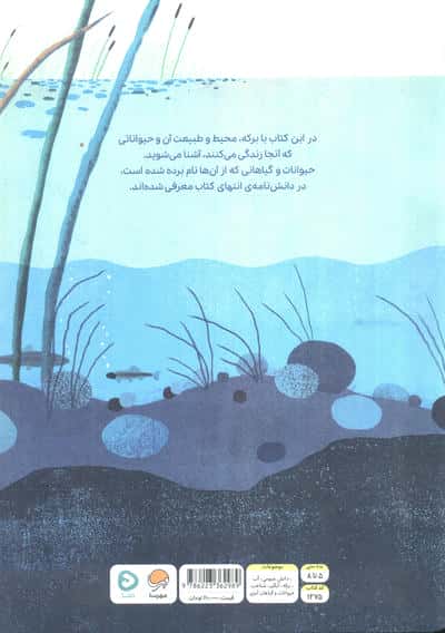 بالا روی آب پایین توی آب (مجموعه بالا و پایین)