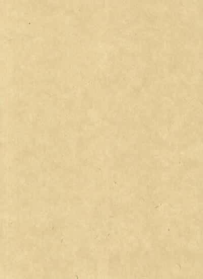 دفتر یادداشت بی خط I AM PAPER (گرافت طلاکوب،کد 995)