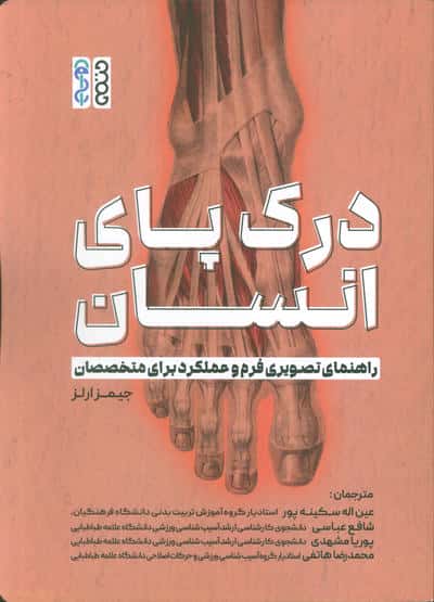 درک پای انسان (راهنمای تصویری فرم و عملکرد برای متخصصان)