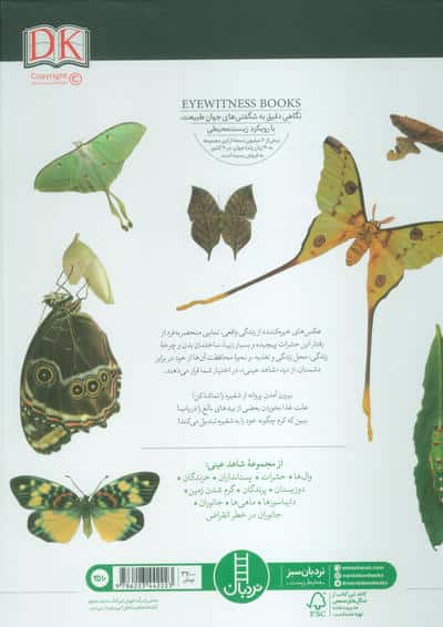 پروانه ها (شاهد عینی)،(گلاسه)