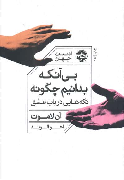 بی آنکه بدانیم چگونه (تکه هایی در باب عشق)