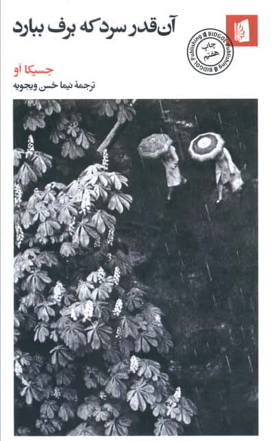 آن قدر سرد که برف ببارد 