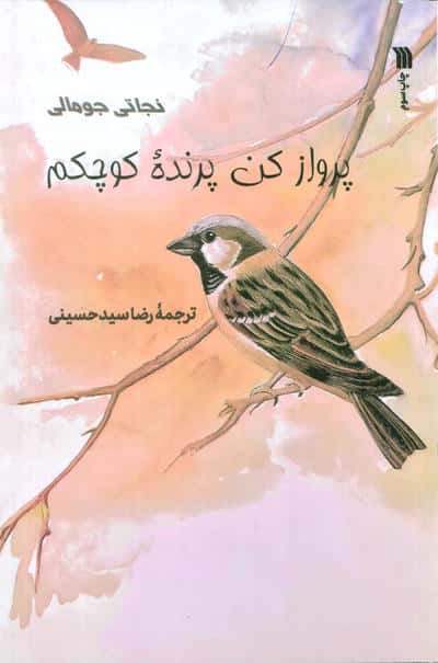 پرواز کن پرنده کوچکم