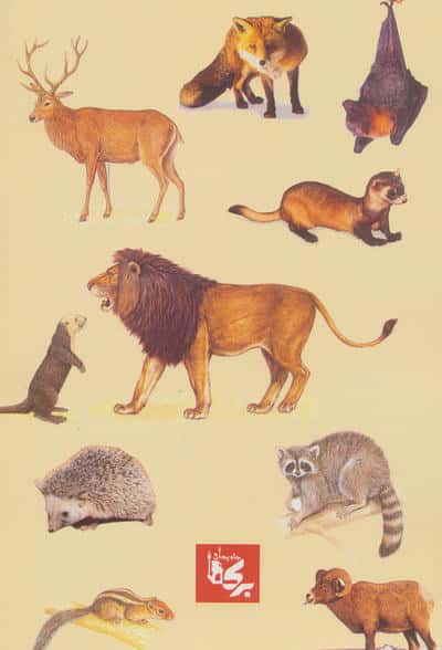 پستانداران ایران