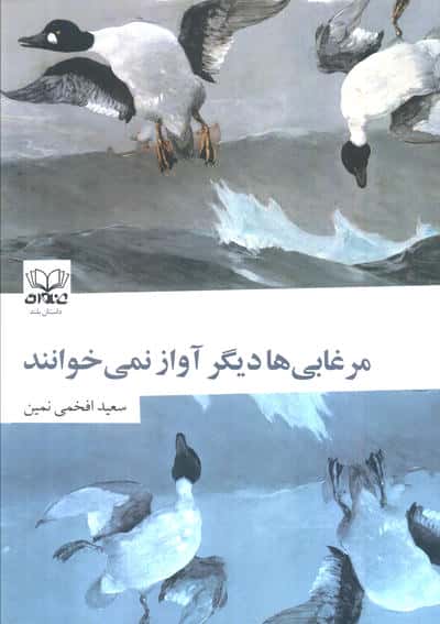 مرغابی ها دیگر آواز نمی خوانند