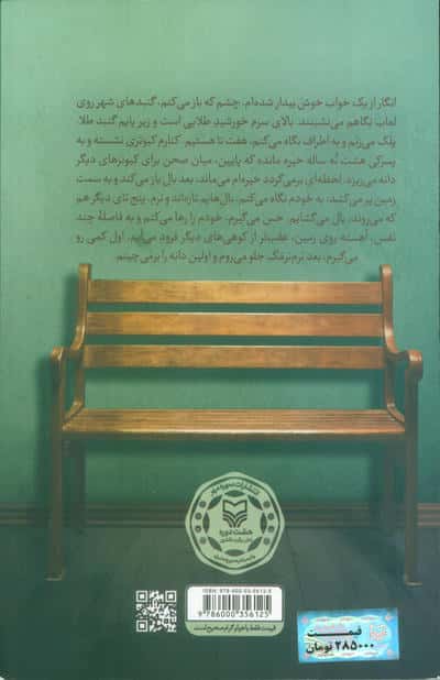 آقای دیوانه 