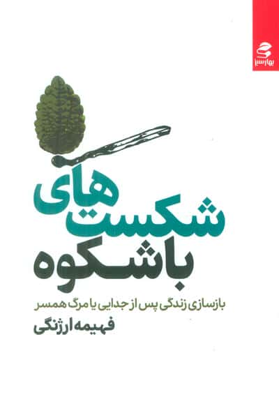 شکست های باشکوه (بازسازی زندگی پس از جدایی یا مرگ همسر)