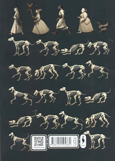 گزنه و استخوان