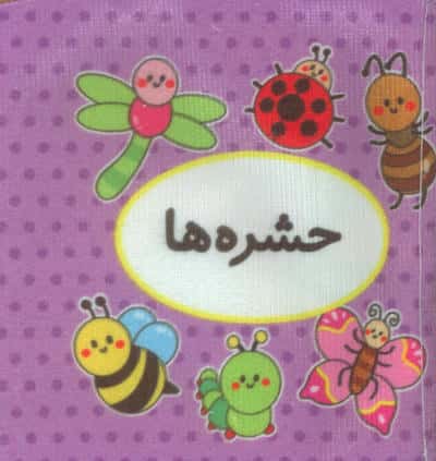اولین کتاب تصویری من (حشره ها)،(2زبانه)