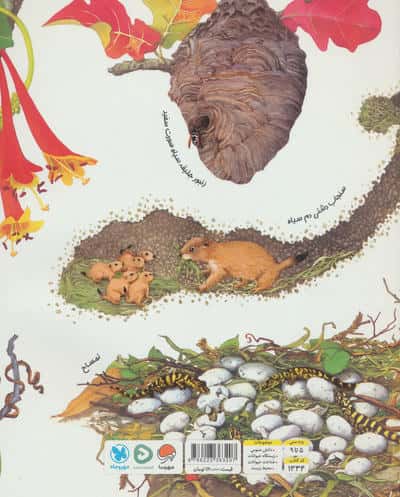 لانه ها پرسروصدا هستند (رازهای طبیعت)،(گلاسه)