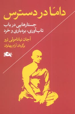 داما در دسترس (جستارهایی در باب تاب آوری،بردباری و خرد)