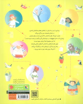 خیابان همیشه سبز (گلاسه)