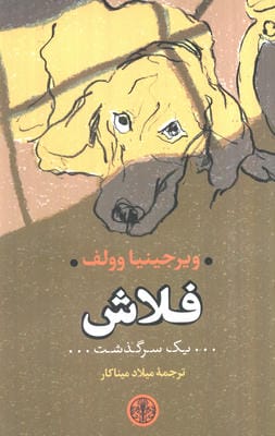 فلاش (یک سرگذشت)