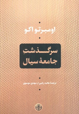 سرگذشت جامعه سیال 