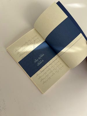 عقاید یک دلقک (دفتر داستان دار)،(2زبانه،جیر)