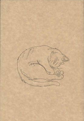 دفتر یادداشت خط دار (کد F101)