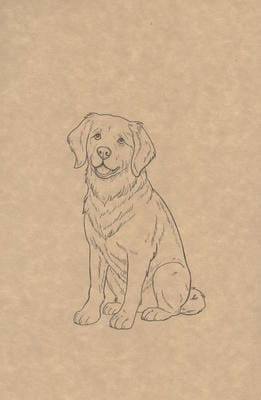 دفتر یادداشت خط دار (کد F102)