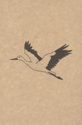 دفتر یادداشت خط دار (کد F103)