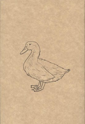 دفتر یادداشت خط دار (کد F108)