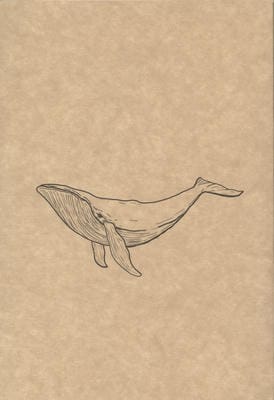 دفتر یادداشت خط دار (کد F110)