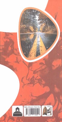 سرخابی های یک اتفاق ساده