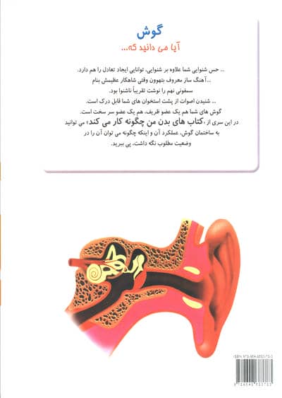 چگونه بدن من کار می کند12 (گوش)،(گلاسه)