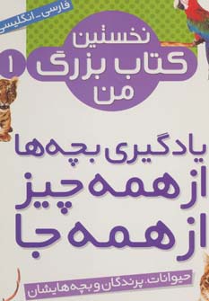 مجموعه نخستین کتاب بزرگ من (2زبانه،8جلدی،گلاسه)