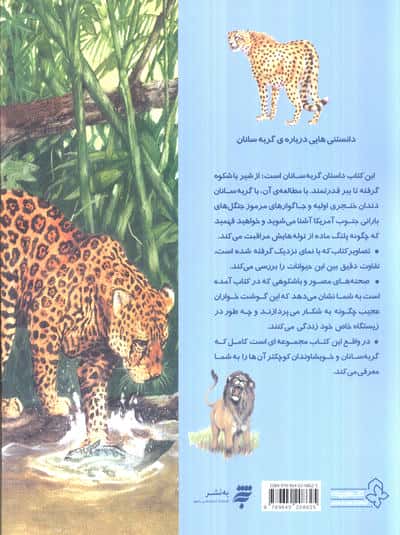 دانستنیهایی درباره گربه سانان