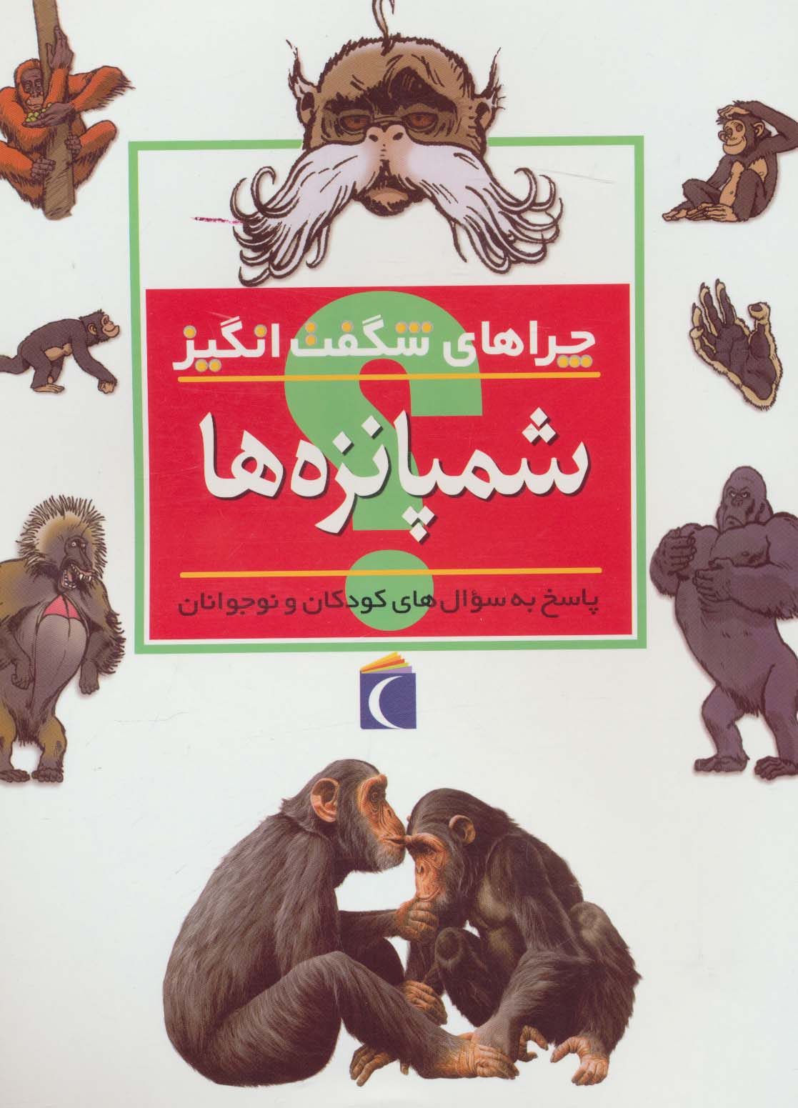 شمپانزه ها (چراهای شگفت انگیز)