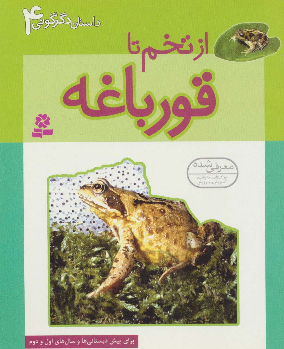 داستان دگرگونی 4 (از تخم تا قورباغه)،(گلاسه)