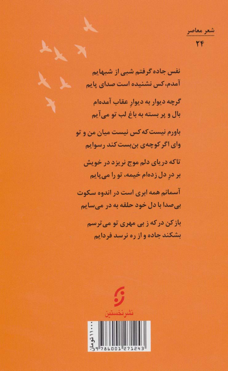 کوچه های روشن پرواز (شعر معاصر ایران)
