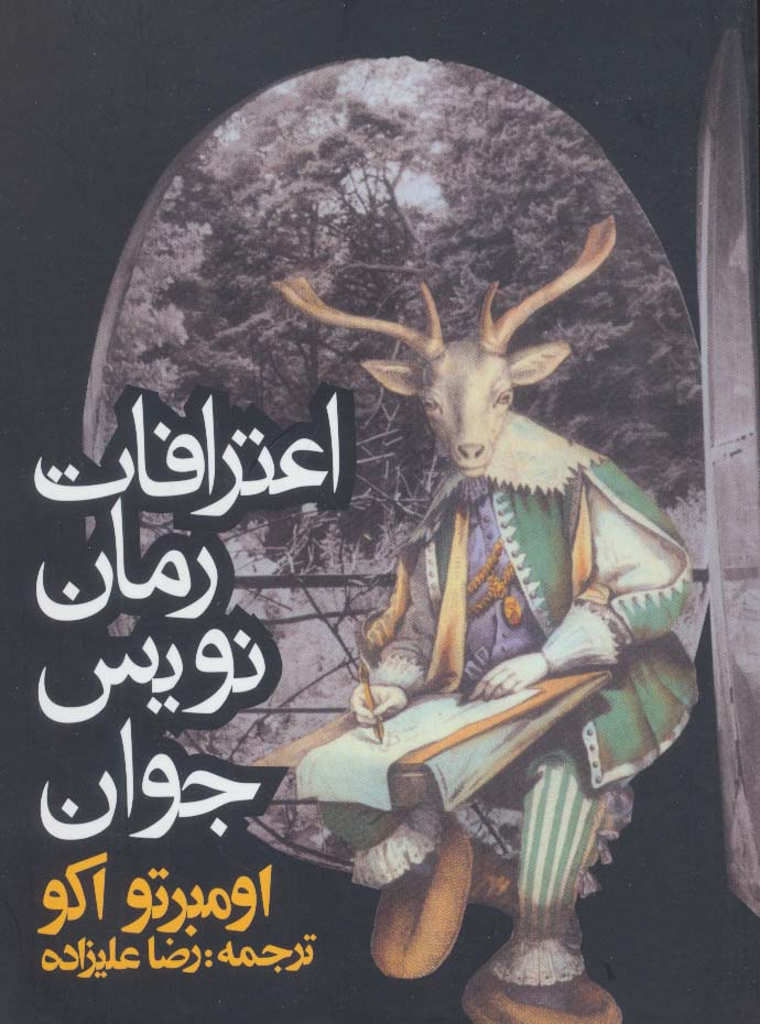 اعترافات رمان نویس جوان