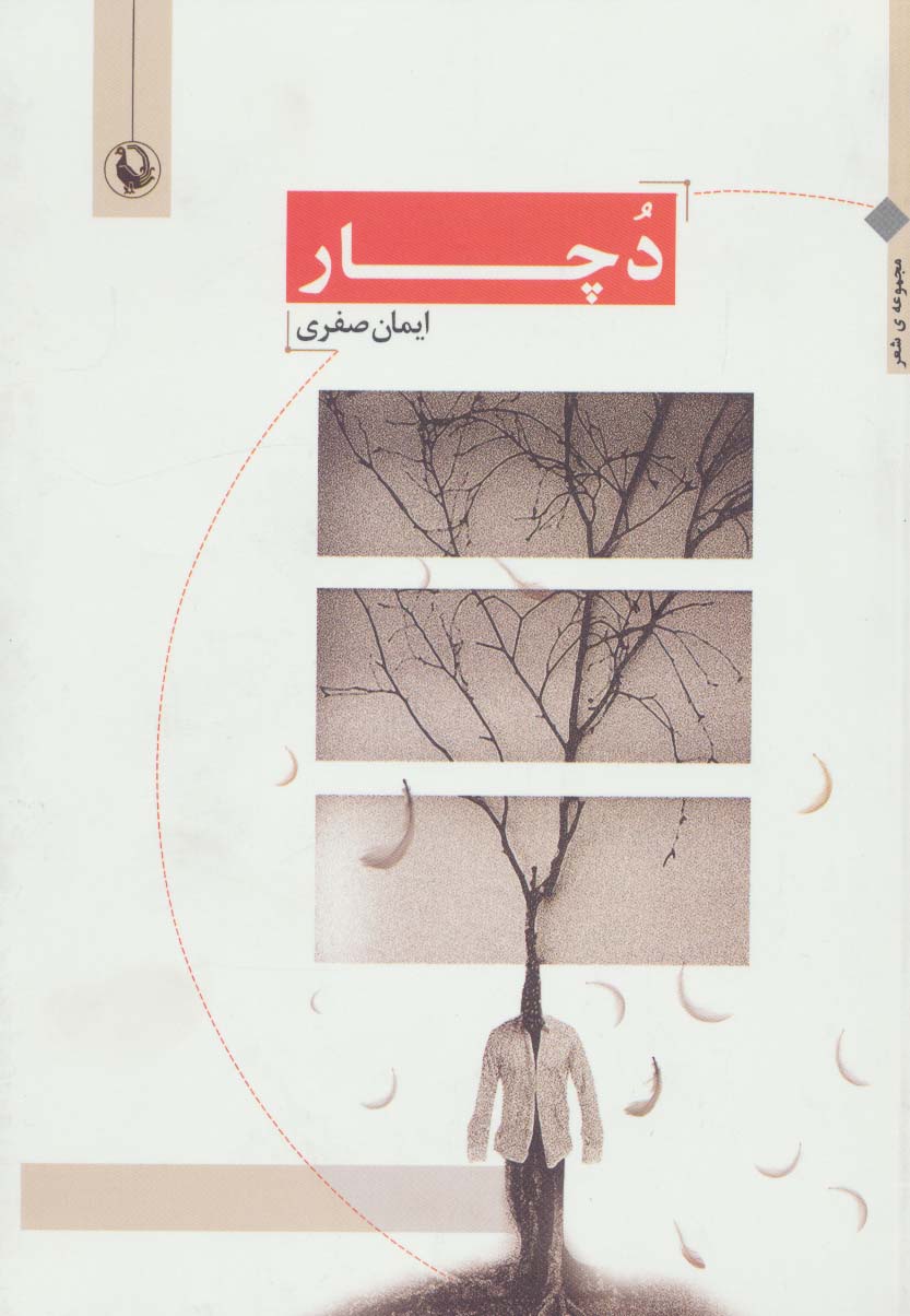 دچار (مجموعه شعر)