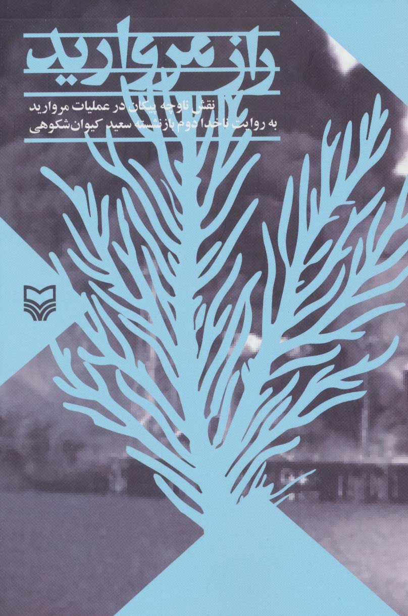 راز مروارید (نقش ناوچه پیکان در عملیات مروارید)